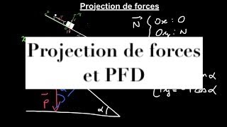 Méthodes scientifiques  projection de forces et principe fondamental de la dynamique [upl. by Imugem]