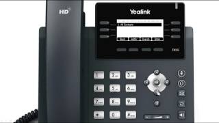 T41PT42G IP Phone  General Overview [upl. by Namolos561]