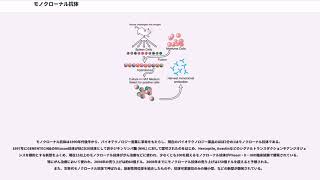 モノクローナル抗体 [upl. by Inobe802]
