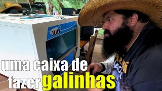 UMA CAIXA DE FAZER NOVAS GALINHAS [upl. by Gulgee]