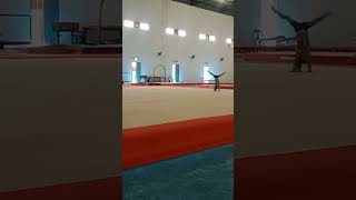 GIMNASTIK ARTISTIK LEVEL 2 [upl. by Yorztif]