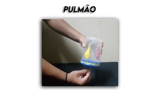 Experimentando Pulmão  Lung [upl. by Leamhsi]