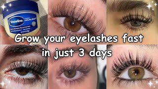 HOW I GROW MY EYELASHES IN JUST 3 days naturally [upl. by Leahcam]