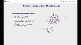 Pathophysiology  Impaired Gas Exchange [upl. by Adiene]