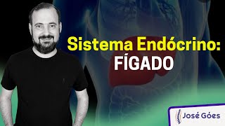 Sistema Endócrino FÍGADO  José Góes [upl. by Gilman891]