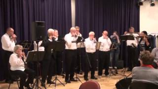 Mondharmonica Festival Helmond 2014 compilatie [upl. by Lateehs]