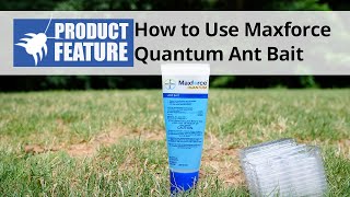 How to Use Maxforce Quantum Ant Bait  DoMyOwncom [upl. by Ardnohs]