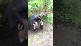 When your dog loves muddy puddles 🤣 🎥 TT bennythegr [upl. by Shewmaker777]