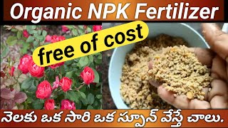 రూపాయి ఖర్చు లేదు6 నెలలు స్టోర్ చేసుకోవచ్చుHome made Organic NPK Fertilizer gardening gardentips [upl. by Ahola]