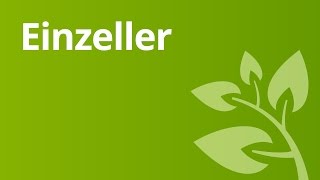 Wie Einzeller leben  Biologie  Biologie der Zellen [upl. by Alius]