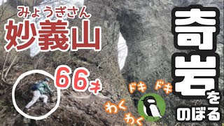 【妙義山】 66歳 わくわくドキドキ 山登り 奇岩を登る [upl. by Hasin]