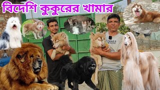 Biggest Dog From in Bangladesh  Dog price in Bangladesh  Big Dog [upl. by Sally]