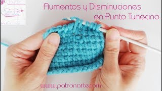 Aumentos y Disminuciones en Punto Tunecino [upl. by Swec]