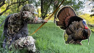 Bow Hunting For Turkeys Ive NEVER SEEN This Before [upl. by Einneg648]