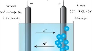 Electrolysis of molten sodium chloride  exam question [upl. by Akeemat422]