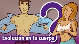 12 vestigios evolutivos ¡en tu cuerpo [upl. by Sheley]