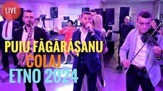 Puiu Fagarasanu🆙Colaj Etno💯 Live 2024 [upl. by Imef]