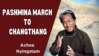 Pashmina March to Changthang  Achoe Nyingstam [upl. by Twum]