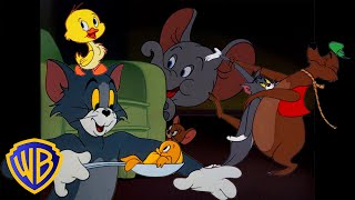 Tom amp Jerry em Português  Brasil  Todos os Animais de Tom amp Jerry 🐣🐭  WBKidsBrasil​ [upl. by Thilde]