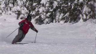 CANSI Presents Skiing Standards  Telemark [upl. by Frodin93]