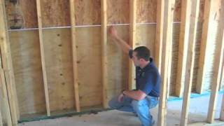 Ecofriendly Pest PreventativeTreated Plywood Sheathing [upl. by Tenaej931]