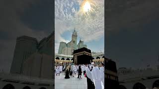 Mera nabi he viralshorts shortsviral shortsvideo shorts [upl. by Euqinue1]