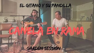 CANELA EN RAMA COVER  EL GITANO Y SU PANDILLA [upl. by Hairym]