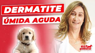 Dermatite úmida aguda saiba o que é e como tratar  Dra Michele Sandrault [upl. by Aenotna]