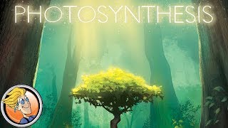 Photosynthesis — overview and rules explanation [upl. by Llevron489]