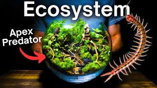 Creating a Multi Species Ecosystem Inside a Glass Bowl [upl. by Leigha]