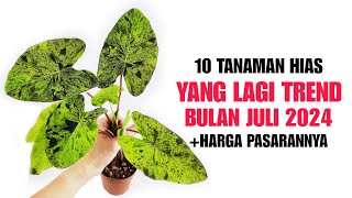 10 Tanaman Hias Yang LAGI TREND di bulan JULI 2024 [upl. by Ardelle]