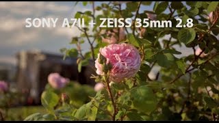 SONY A7II  ZEISS 35mm 28  Donaulände Linz 1080P Handheld [upl. by Korwun]