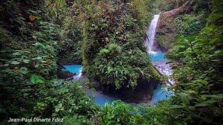 Blue Falls of Costa Rica  Compilation 2024 [upl. by Reggy]