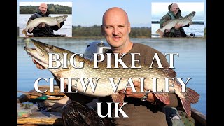 Pike fishing at Chew Valley [upl. by Alexine143]