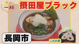 長岡市：ハルヤ【中越県央エリアラーメン情報】 [upl. by Camile852]