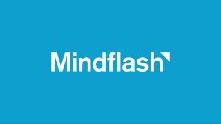 Mindflash 30 second overview [upl. by Esialb]