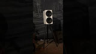 Buchardt Audio S400 MKII hifiaudio audio loudspeaker loudspeakers audiophile highendaudio [upl. by Etnwahs]