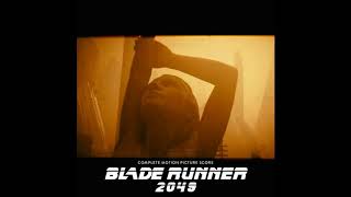 22 Pilotfish  Blade Runner 2049 Complete Score [upl. by Eatnuahs]