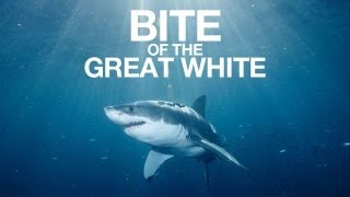 Bite of the Great White Shark Week remix [upl. by Neelyahs407]