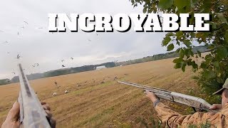 Chasse à l’outarde Une incroyable chasse  goose hunting [upl. by Kapoor]