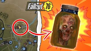 Top 10 Fallout 76 Locations With the Rarest Items YOU NEVER KNEW [upl. by Nira20]