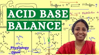 Acid base balance Physiology  Renal system mbbs 1st year physiology lecture [upl. by Glanville]