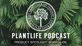 What is Borage Oil  Plantlife Podcast 25 [upl. by Unders]