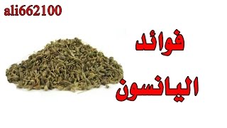 فوائد اليانسون  Benefits of anise [upl. by Etteiram]