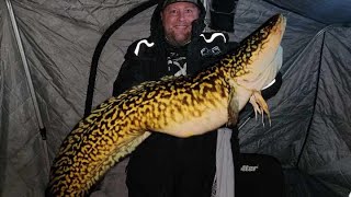 LAKE SIMCOE ICE FISHING NEW Ontario Record BURBOT [upl. by Narik]