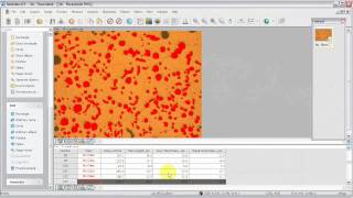 MicroVisual  Particle Analysis General with iSolution DT [upl. by Ezara621]