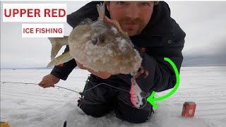 Upper Red Ice Fishing 2022 [upl. by Aynekat]