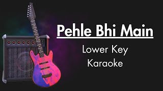 Pehle Bhi Main Lower Key Karaoke  Unplugged Karaoke With Lyrics  Animal  Vishal Mishra [upl. by Suirtemed]