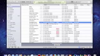 How To Delete Duplicates in iTunes [upl. by Elsworth]