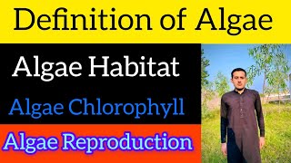 Define Algae  Thallus Structure  Reproduction Of Algae [upl. by Anilesor]